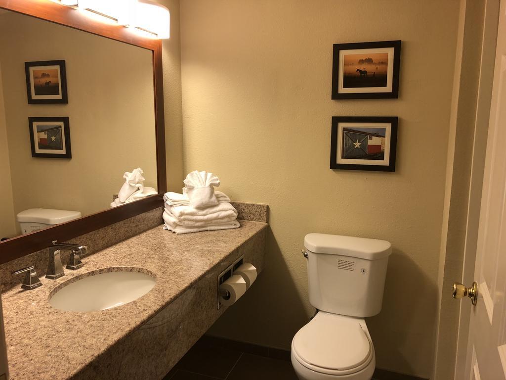 Comfort Inn & Suites Sw Houston Sugarland מראה חיצוני תמונה