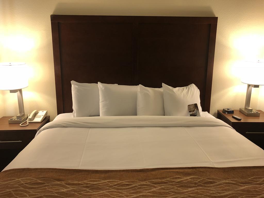 Comfort Inn & Suites Sw Houston Sugarland מראה חיצוני תמונה
