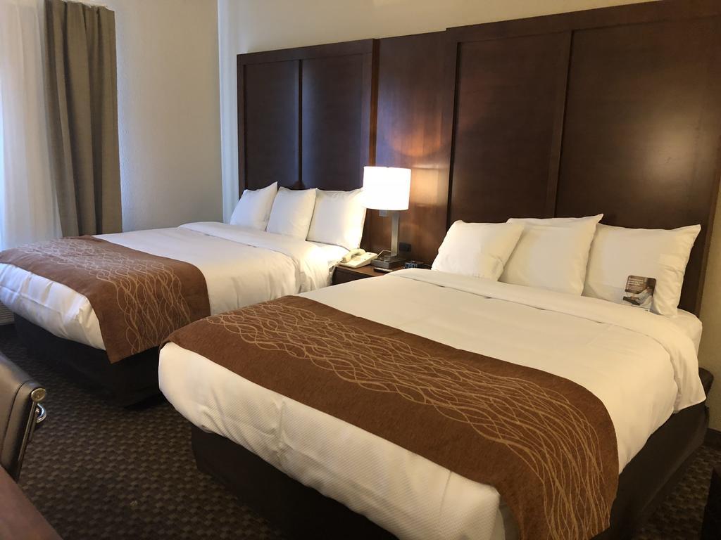 Comfort Inn & Suites Sw Houston Sugarland מראה חיצוני תמונה